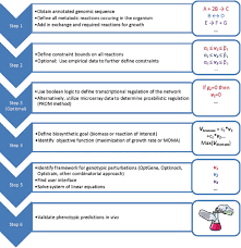 flow chart for constructing a genome scale metabolic model