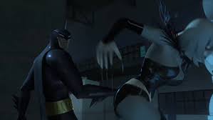 Dc comics images on fanpop. Space Sidhe Themaskedman Beware The Batman Magpie