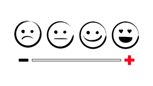 Welche rolle spielen emotionen in der wirtschaftspsychologie? Emotionen Flowfinder