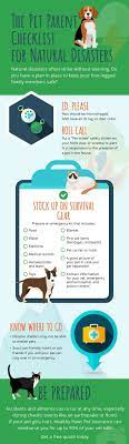 Pin By Tara Schneider On Cats Cats Cats Pet Parent Natural Disasters Disasters