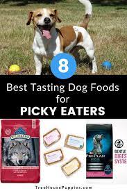 8 Best Tasting Dog Foods For Picky Eaters In 2020 Treehousepuppies In 2020 Dog Food Recipes Picky Eater Recipes Best Dog Food Brands