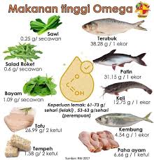 Penternak dakwa industri ikan patin. Ikan Patin Ali Home Facebook