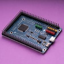 Microcos is a genus of flowering plants in the family malvaceae sensu lato or tiliaceae or sparrmanniaceae. The Amazing 1 Microcontroller Jay Carlson