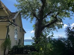 Unter anderem trägt es als pilotprojekt das neueste. Haus Heimat Am Seeufer Radolfzell Am Bodensee Konstanz Wandertipps Fotos Komoot