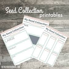 It is easy to print, download and use the kindergarten worksheets online. Printable Activities For Kids Seed Collections The Inspired Treehouse