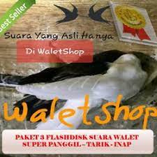 Jual Produk Walet Suara Tarik Panggil Inap Termurah Dan Terlengkap Oktober 2021 Bukalapak