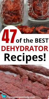 Best Dehydrator Food Recipes In 2020 Dehydrator Recipes Beef Jerky Recipes Jerky Recipes Dehydrator