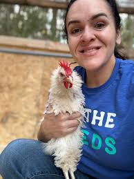 This lover boy is looking for a new roost! I have him and 2 others just  like him! $10 Located in Monroe, NC. PM The Boujee Farmer NC.