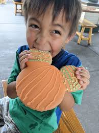 Pumpkin spice cookie at Hollywood Studios
