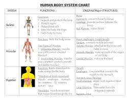 Systems Of The Body Human Body System Chart Human Body