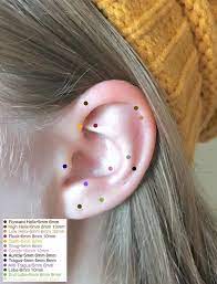 Three Hoop Earrings For Multiple Lobe Nose Upper Cartilage Piercings Choice Of Metal Size And Gauge Earings Piercings Cartilage Earrings Hoop Helix Piercing Jewelry