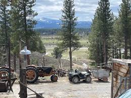 Russell Valley Homestead