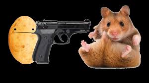 The lana del rey cult, in case you're wondering, is a group of fans who have been supporting and defending her against the recent backlash she's been getting. Hamster Cult Is Old Join The Notapotatocult Dieeeeeee Hamsters Hamstercult