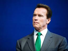 The little arnold was born in a small city in austria. Schwarzenegger Flips Off Lawmakers In Hidden Message Wired