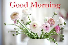 We did not find results for: Recklessly Love Morning Wishes Good Morning Images With Flowers Hd
