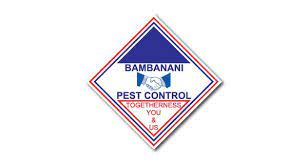 For pest control removal services across london and the south east, contact jg pest control. Bambanani Pest Control Port Elizabeth Pest Control Phone 041 373 4 Email Contact Think Local