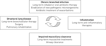 european respiratory society guidelines for the management