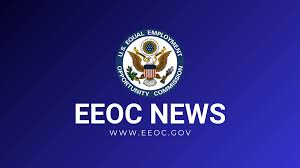 Image result for tbn:olEe_NlO2ly-vM::www.eeoc.gov/abouteeoc/plan/2006budget/chart3.png