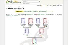 Most popular software amongst genealogists; 5 Best Free Genealogy Software In 2021