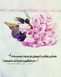 قلب ابيض Rona Insta