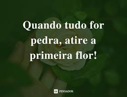 147 Frases Curtinhas De Status Para Whatsapp Pensador Afinal é possível ler no chrome as mensagens que foram apagadas no whatsapp.