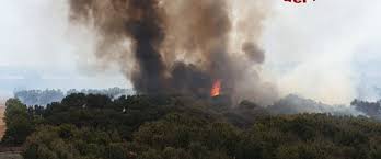 Necessario intervento il deputato regionale del movimento nuova autonomia è intervenuto a seguito del vasto incendio che. Incendio Alla Playa Due Lidi Distrutti Dal Fuoco Bagnanti Salvati Via Mare Automobili In Fiamme Meridionews