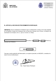 Parce que vos droits sociaux sont importants, nous vous proposons dans cette rubrique des renseignements relatifs à la sécurité sociale. Obtenir Son Nie Depuis La France Ou Depuis L Espagne Notre Experience