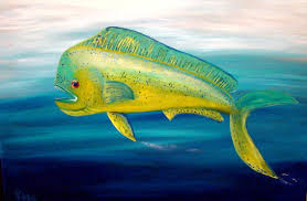 Mahi Mahi by Tonya Rosa Stephens