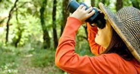 2026 Bird Watching Explorience
