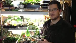 Camouflaged grow boxes (stealth boxes). Getting Your Garden To Grow In A Basement Apartment Wamu