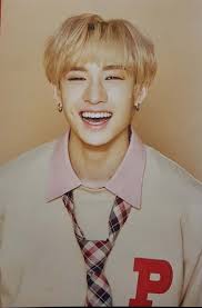 Pin By Feitanhub On Stray Kids Stray Kids Chan Korean Idol Beautiful Smile