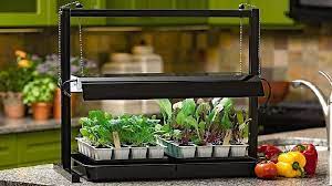 Diy Indoor Grow Light Inexpensive Way To Growing An Indoor Garden Indoor Grow Lights Indoor Vegetable Gardening Herb Garden In Kitchen