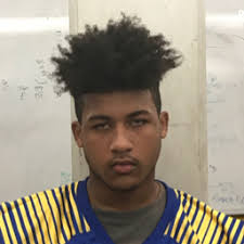 Austin Geyer's Harding High School Bio