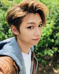 Felix Cat Food Mixed Selection in Jelly 40 x 100g