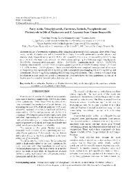 Image result for Raphia sese