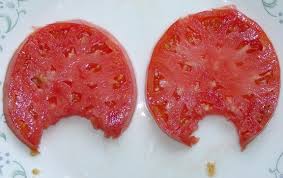 We did not find results for: Heirloom Tomato Plants Old Fashioned Tomato Flavor Acid Tomato Selected Plants