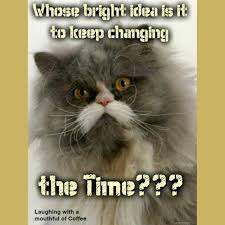Yeah Today Was Tough Credit To Laughing With A Mouthful Of Coffee Daylightsavings Cat Cats Meow Kitten Kitty Kitties Kit Cats Saving Cat Crazy Cats