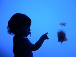 The Sea Once It S Cast It S Spell Hold One In It S Net Forever Jacques Cousteau Silhouette Art Under The Sea Silhouette
