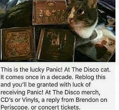 Gimme The Goods Cat Emo Music Disco Panic At The Disco