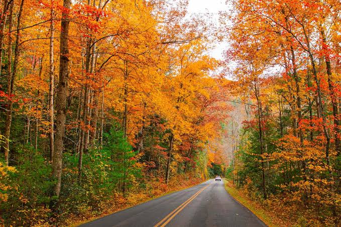 We Asked Travel Experts Their Favorite Fall Foliage Destination in the  U.S.—and They All Picked the Same Place