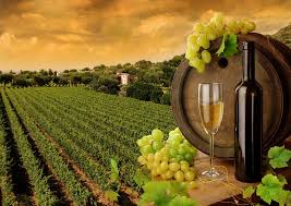 Gallo wines opened for business in 1938 by brothers ernest and julio gallo, sons of italian immigrants who settled in the sierra nevada foothills. Delay In E J Gallo Acquisition Of Constellation Brands