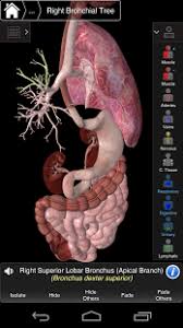 This app is being offered free to demonstrate the groundbreaking 3d technology and innovative design inherent in 3d4medical's new range. Download Essential Anatomy 3 For Android Essential Anatomy 3 Apk Appvn Android