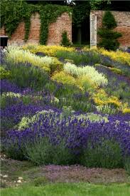 Drifts Of Purple Yellow White Beautiful Gardens Plants Outdoor Gardens