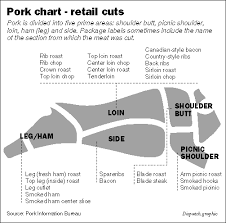 Beef Cuts Color Poster Porks Most Popular Cuts Color Poster