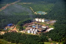 The malaysian palm oil board (mpob) is a government agency responsible for the promotion and development of the palm oil sector in the country. Palm Oil Global Forest Watch Blog