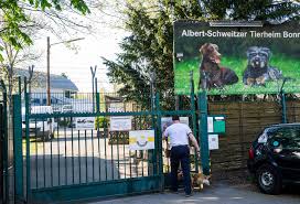 Albert schweitzer stiftung wohnen & betreuen. Albert Schweitzer Animal Shelter Famous Dog Trainer Martin Rutter Presents Donation To Bonn Animal Shelter