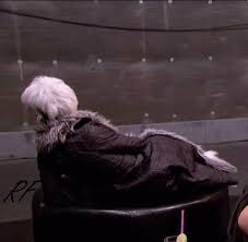 images?q=tbn:ANd9GcQ3VvghqfwlrweIbcHGtvs