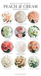 Wholesale flowers and greenery from fiftyflowers are always fresh cut and carefully packed for your wedding or special event. Peach And Cream Wedding Flower Collection Diy Wedding Flowers In 2021 Cream Wedding Flowers Wedding Flower Packages Fresh Wedding Flowers