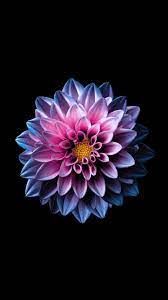 Pin On Garden Ideas