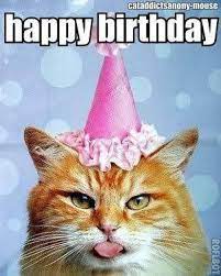 Pin By Stacci Smith On Birthday Memes Happy Birthday Cat Cat Birthday Birthday Wishes